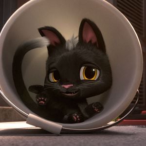 Gatos. Un viaje de vuelta a casa - Película 2016.mx