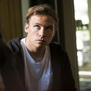 Foto Instinto Animal