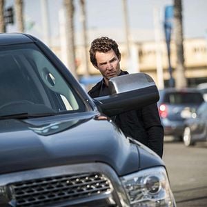 Foto Instinto Animal