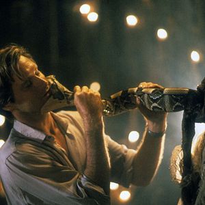 Foto La Serpiente y el Arco Iris