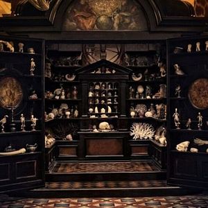 Foto Wonderstruck: El museo de las maravillas