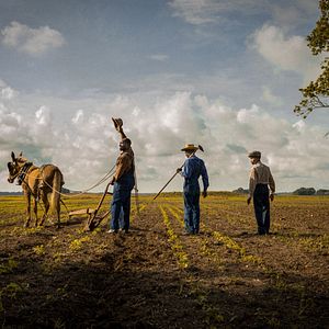 Foto Mudbound: El color de la guerra