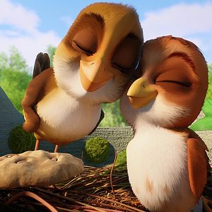 Foto Una cigüeña en apuros