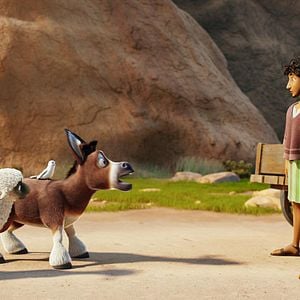 Foto La estrella de Belén