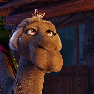 Foto La estrella de Belén