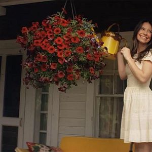 Foto Pequeño demonio