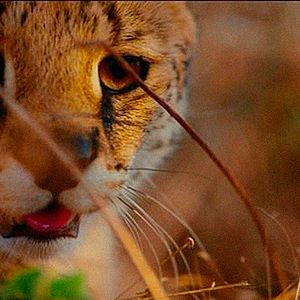 Foto Un día maravilloso en la Tierra