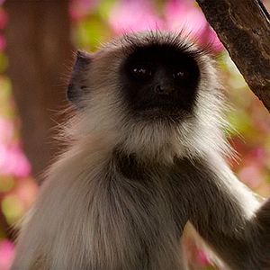 Foto Un día maravilloso en la Tierra
