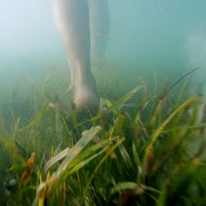 Foto Batallas íntimas