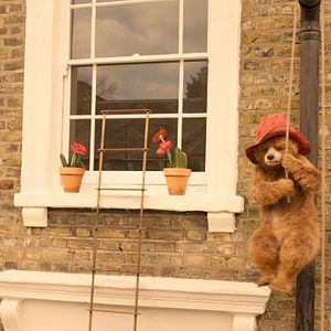 Foto Paddington 2
