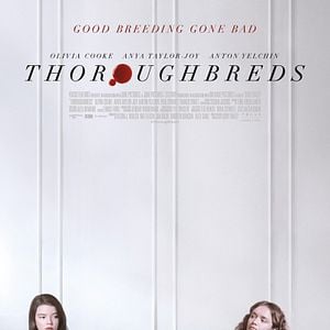 Foto Thoroughbreds