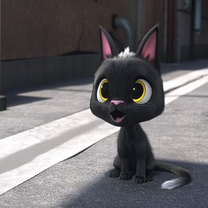 Foto Gatos. Un viaje de vuelta a casa