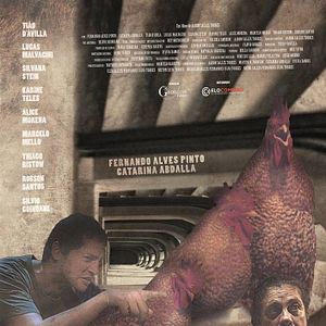 Foto Quando o Galo Cantar Pela Terceira Vez Renegarás Tua Mãe