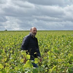 Foto El viñedo que nos une