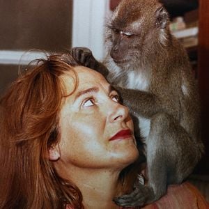 Foto Muchos hijos, un mono y un castillo