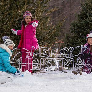 Foto Guerra de papás 2