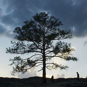 Foto A morir a los desiertos