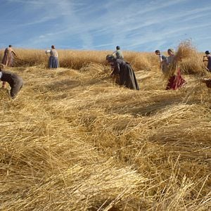 Foto La mujer que sabía leer