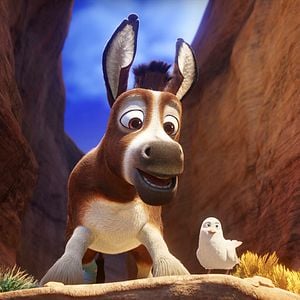 Foto La estrella de Belén