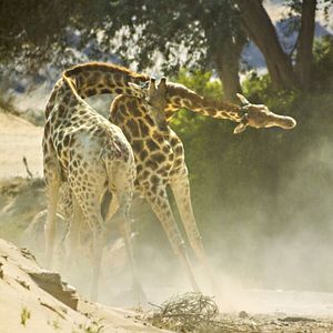 Foto Un día maravilloso en la Tierra