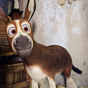 Foto La estrella de Belén