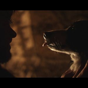 Foto Cometa: Él, su perro y su Mundo