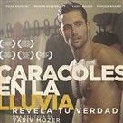 Foto Caracoles en la lluvia