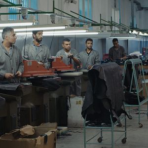 Foto Viento del norte