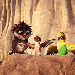 Foto Una cigüeña en apuros