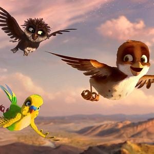 Foto Una cigüeña en apuros