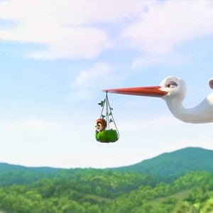 Foto Una cigüeña en apuros