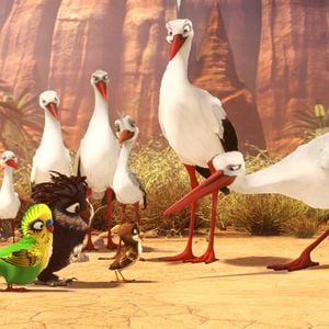 Foto Una cigüeña en apuros