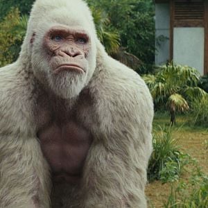 Foto Rampage: Devastación