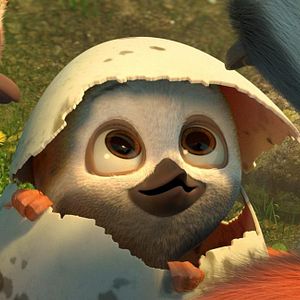 Foto Ploey: Cabeza de chorlito