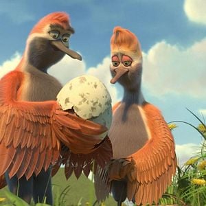 Foto Ploey: Cabeza de chorlito