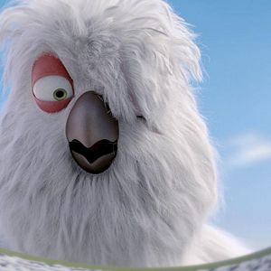 Foto Ploey: Cabeza de chorlito