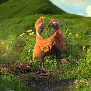 Foto Ploey: Cabeza de chorlito