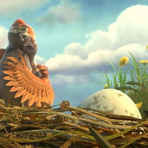 Foto Ploey: Cabeza de chorlito