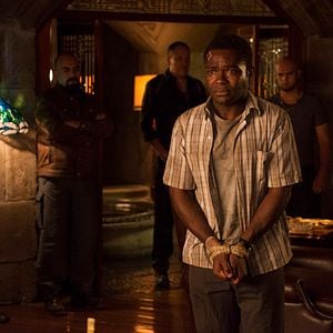 Foto Gringo: Se busca vivo o muerto