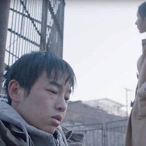 Foto Un elefante sentado y quieto