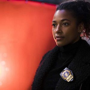 Foto La Ley Y El Orden: UVE