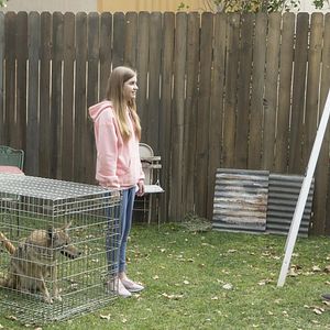 Foto John Ross Bowie