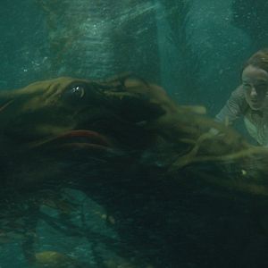 Foto Animales fantásticos: Los crímenes de Grindelwald