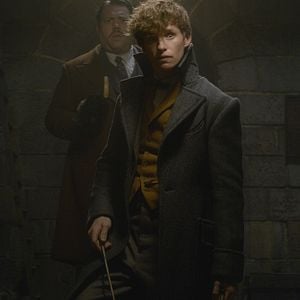 Foto Animales fantásticos: Los crímenes de Grindelwald