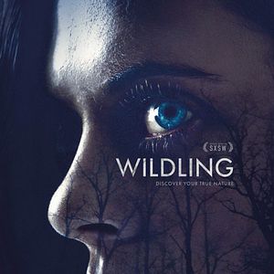 Foto Criaturas nocturnas