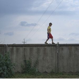 Foto El ladrido lejano de los perros