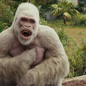 Foto Rampage: Devastación