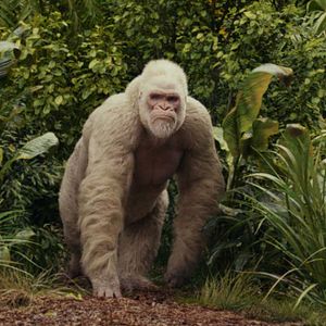 Foto Rampage: Devastación