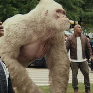 Foto Rampage: Devastación