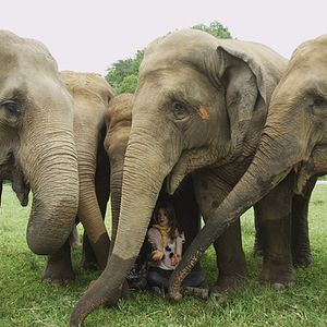 Foto Love & Bananas: An Elephant Story